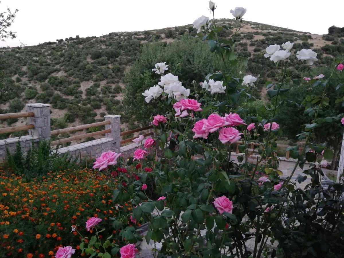 Villa Agno - Βίλα Αγνώ Ano Karies Exterior foto